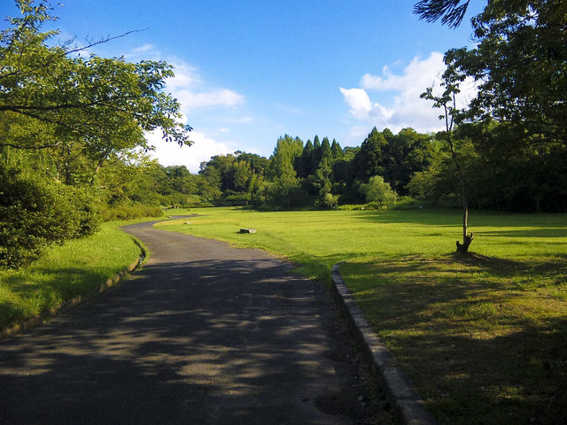 公園内はこのような雰囲気です。ぱっとみて、遺跡とわかるものは残念ですが、素人ではわかりませんでした。_福市遺跡公園