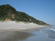 寅吉さんの片浜十三里の投稿写真4