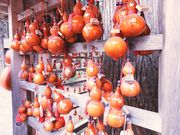 メイさんの櫛引八幡宮の投稿写真1