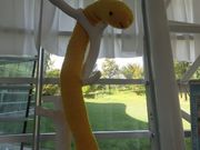 てつきちさんの福井市美術館の投稿写真3