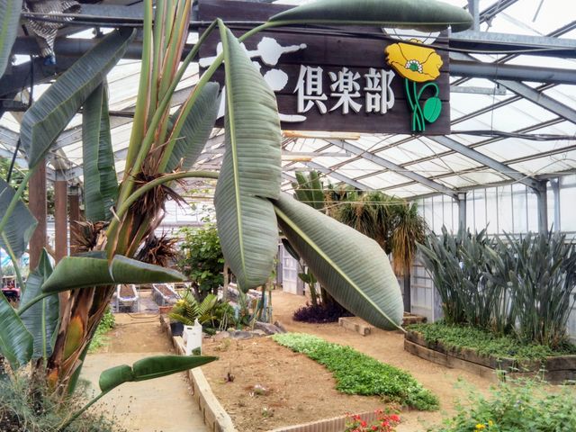 usaさんの道の駅 おおつの里花倶楽部の投稿写真1