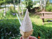 たかちゃんさんのくりーむ童話の投稿写真3