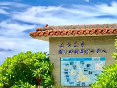 きぬきぬさんの前浜ビーチへの投稿写真1