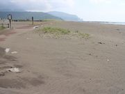 たかちゃんさんの川下海水浴場(はまますピリカ・ビーチ)の投稿写真3