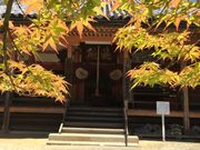 ひげはんさんの松尾寺の投稿写真1