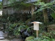 むらさんさんの山浦早水の棚田の投稿写真2