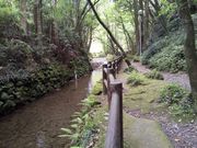 micky7777さんの慈眼寺公園の投稿写真1