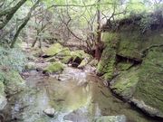 micky7777さんの慈眼寺公園の投稿写真2