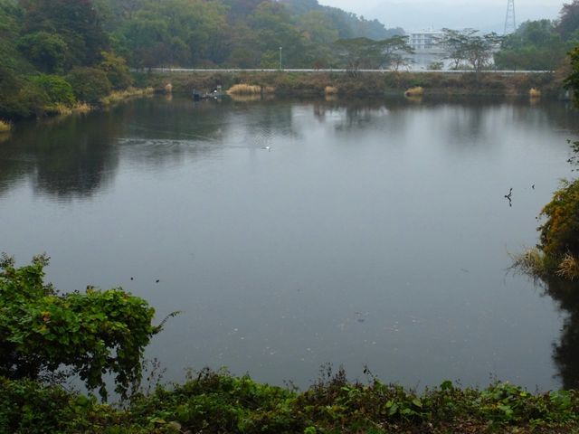 ひょうたん沼_大堤(ひょうたん沼)