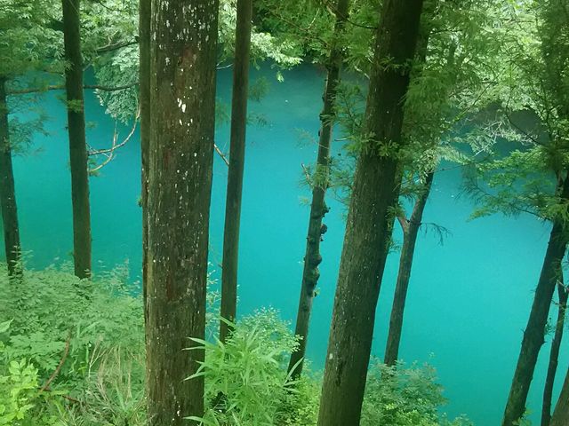 四万温泉の入口看板の下に見ることができます。
綺麗なエメラルドの四万川。_四万川