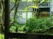 にゃんたろうさんのオーベルジュ・ド・プリマヴェーラの投稿写真1