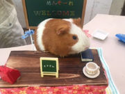 くまこさんのネオパークオキナワの投稿写真2