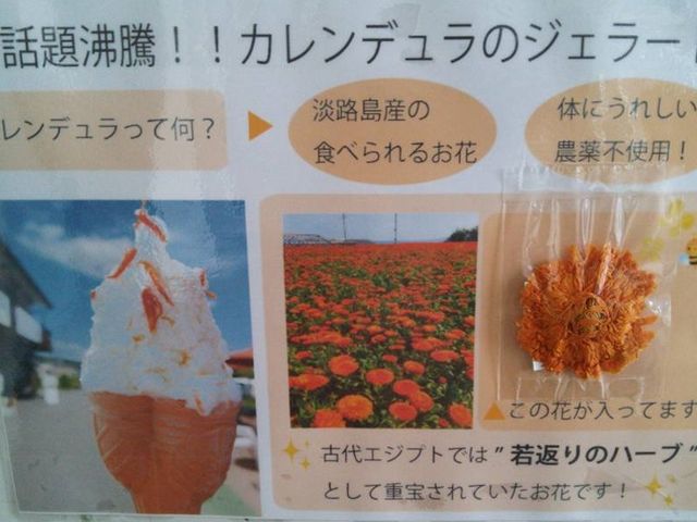 キンセンカの花びらが入ったジェラート_やま高