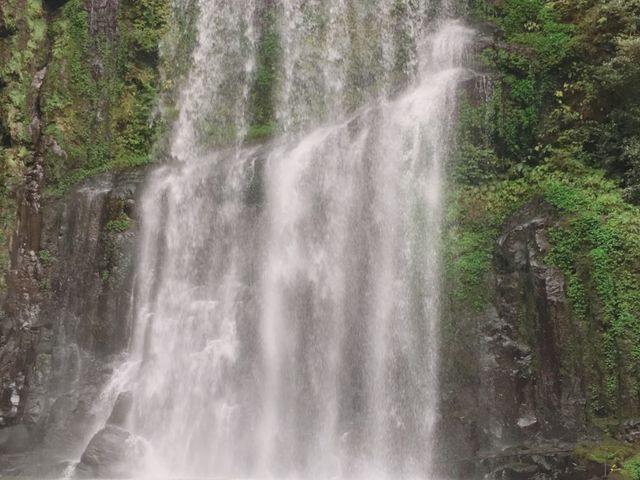桜滝 水量は多かったです_桜滝