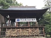 シトラさんの浅間神社の投稿写真4