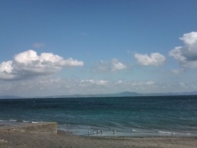 海水浴は終わった後でしたが、海岸沿いをお散歩して、綺麗だったのでついパシャり!_三浦海岸海水浴場