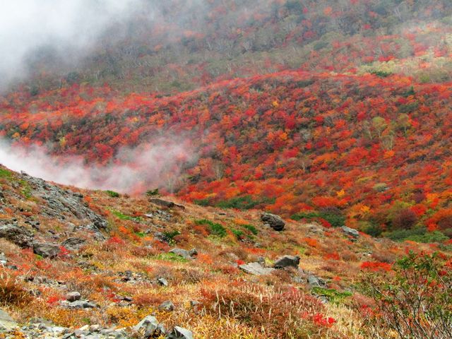 姥ケ平近辺の紅葉_那須岳(茶臼岳)