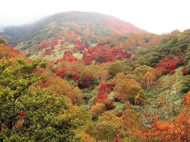 山麓駅付近からの眺め_那須岳(茶臼岳)