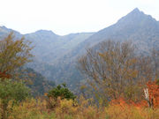 しんちゃんさんの石鎚スカイライン長尾尾根展望台の投稿写真1