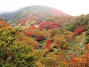 ひさちゃんさんの那須岳(茶臼岳)の投稿写真5