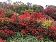 ひさちゃんさんの那須岳(茶臼岳)の投稿写真6