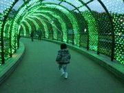 えっつーさんのツインアーチ138の投稿写真1