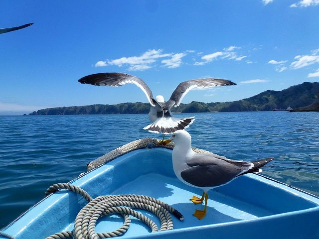 浄土ヶ浜 _浄土ヶ浜
