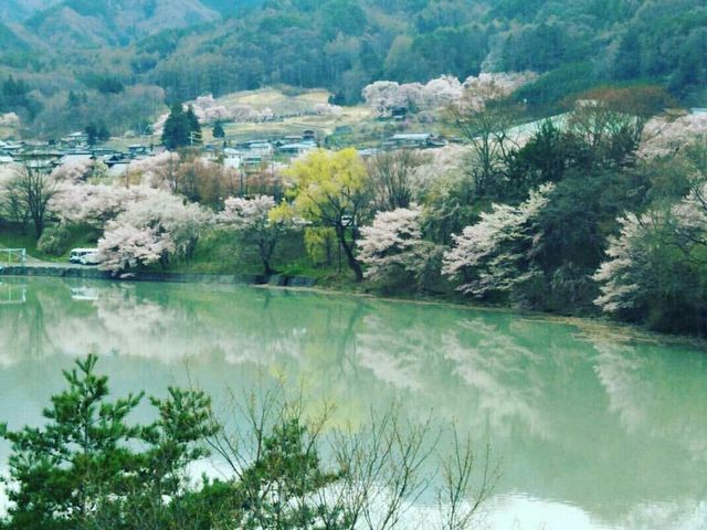 メイさんの高遠湖の釣りの投稿写真1
