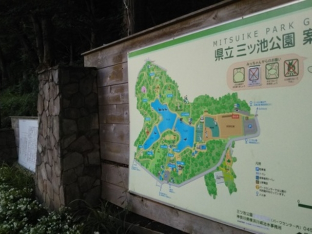 三ツ池公園は桜の名所です。敷地が広いですよ。_三ツ池公園