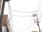 世田谷区等々力の住人さんの生麦魚河岸の投稿写真1