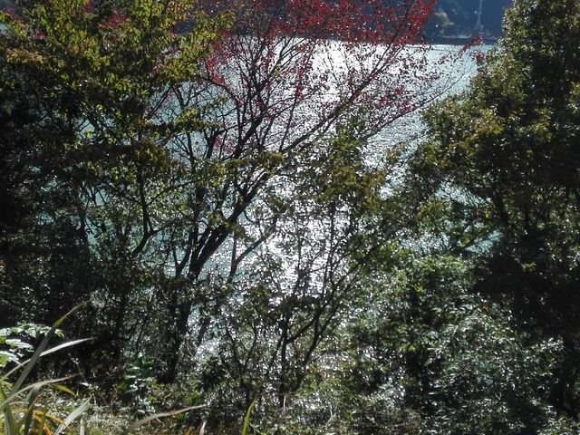 駐車場からの眺め_草木ドライブイン