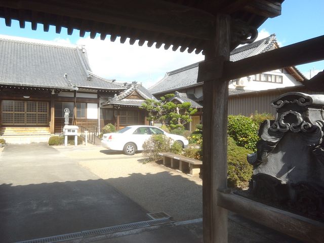 サビ猫さんの般若寺の投稿写真2