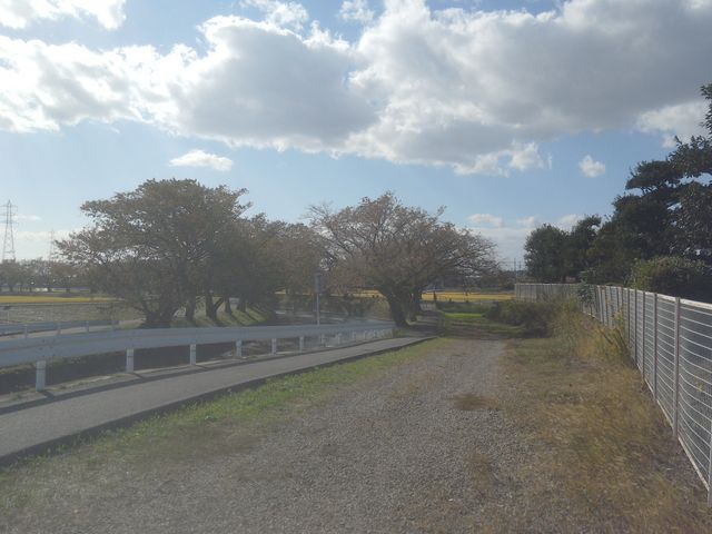 一部分、車道が平行しています。_尾北自然歩道