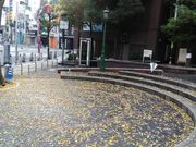 りそなさんの御津公園【三角公園】の投稿写真1