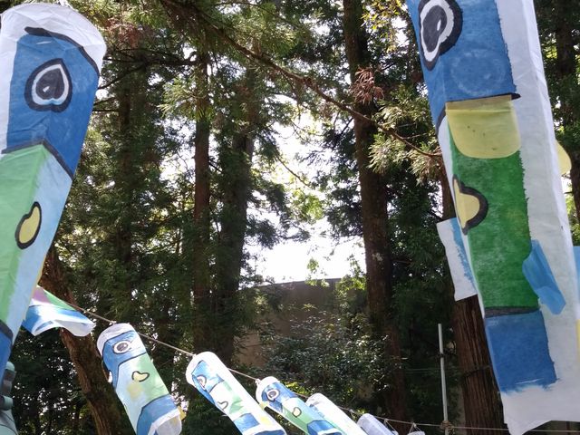 境内にこいのぼりが!_椙本神社(いの大国さま)
