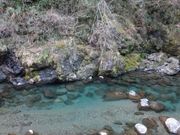 かなっちさんの清流仁淀川の投稿写真1