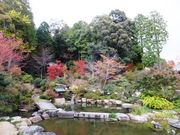 こぼらさんの善水寺本堂の投稿写真4