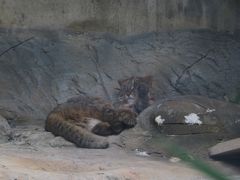 E102̉ꂱǂ̍ Okinawa zoo & museumւ̓eʐ^1