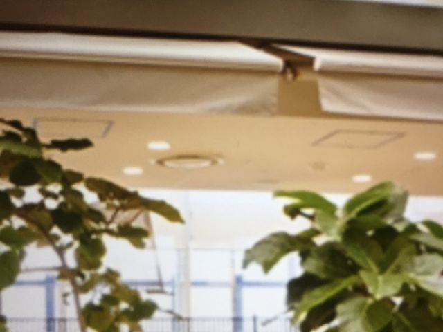 丸福珈琲店_丸福珈琲店 阪急うめだ本店