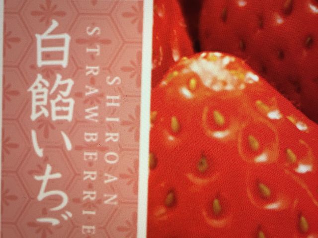 白あんのいちご大福_菓匠あさだ 豊里本店