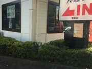 ha---iさんのバーミヤン 鴨居店の投稿写真1