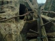 こぶおさんの大森山公園の投稿写真1