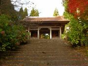 ポン助さんの竹林寺の投稿写真1