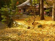 ポン助さんの竹林寺の投稿写真2