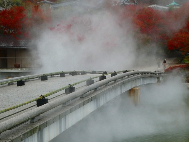 大阪府・箕面市・勝尾寺_勝尾寺