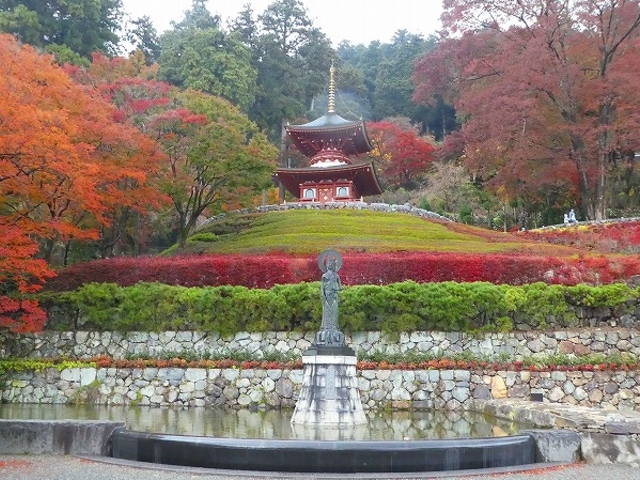 大阪府・箕面市・勝尾寺 紅葉の多宝塔_勝尾寺