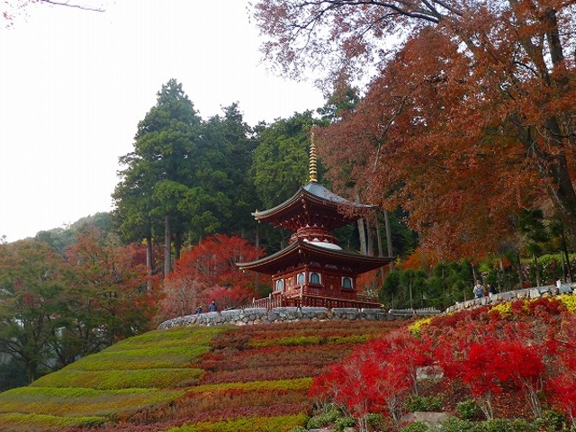 大阪府・箕面市・勝尾寺 紅葉の多宝塔_勝尾寺