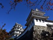 セイコさんの郡上八幡城の投稿写真5