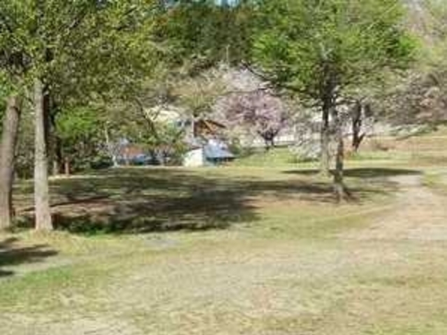 アクセルゼンカイさんの須賀公園キャンプ場の投稿写真1