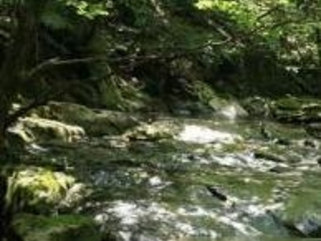 アクセルゼンカイさんの滑床渓谷キャンプ場の投稿写真1